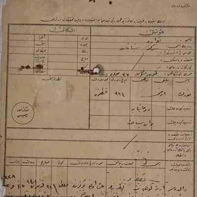 Travel Authorization Document #40