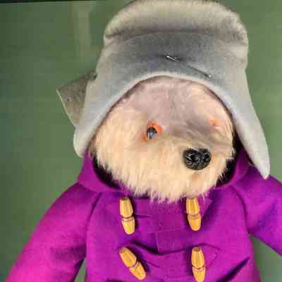 Paddington Bear