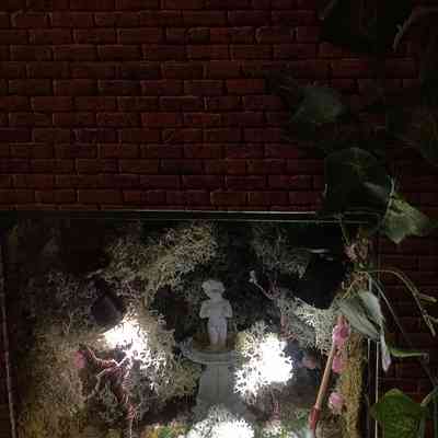Mini World The Secret Garden