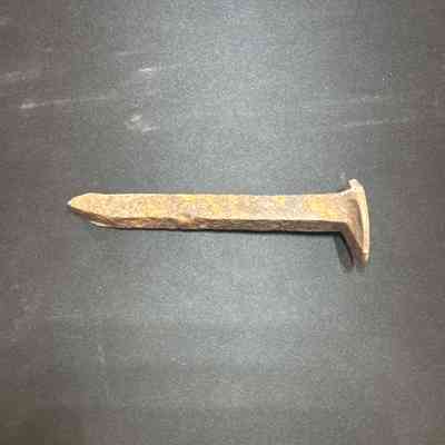 Railroad Spike - Currie Wye