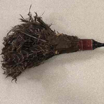 Feather Duster