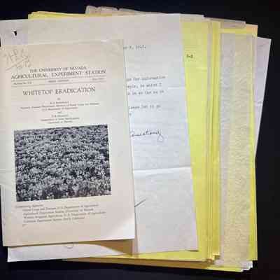 E-3 Engineering - 1944-1947