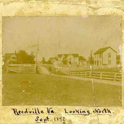 Reedville Looking North