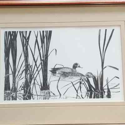 Duck painting by J. Carter