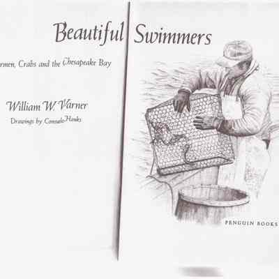 Beautiful Swimmers