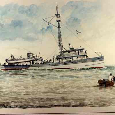 Menhaden fishing vessel