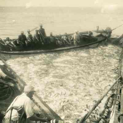 Menhaden fishing vessel