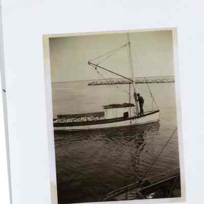 Photograph