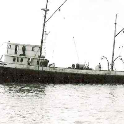 Photograph