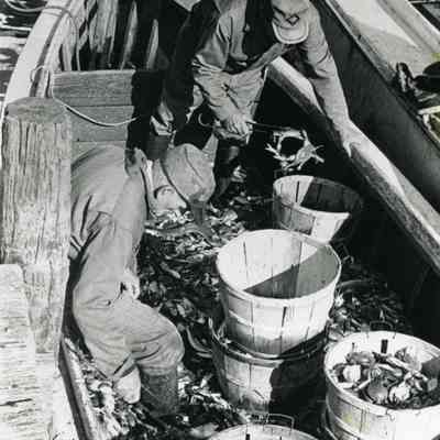 Crabbing