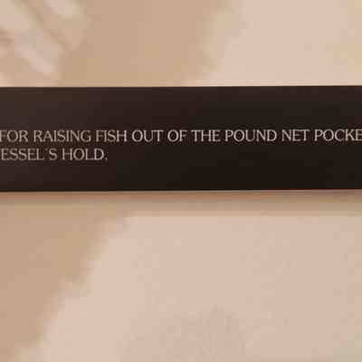 Net, Pound