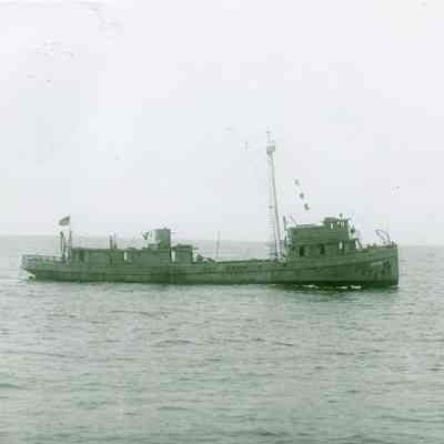 Photograph