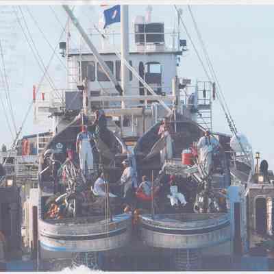 F/V F Ray Rogers