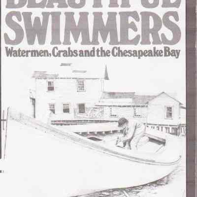 Beautiful Swimmers