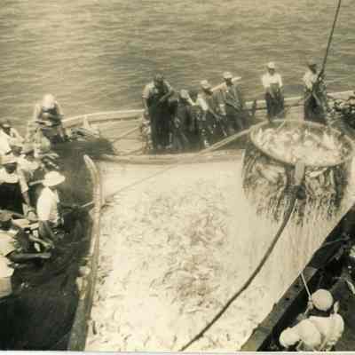 Menhaden fishing vessel