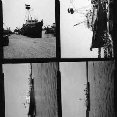 Photograph