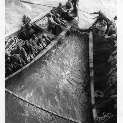 Purse Boat