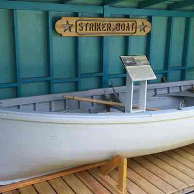 Boat, Striker