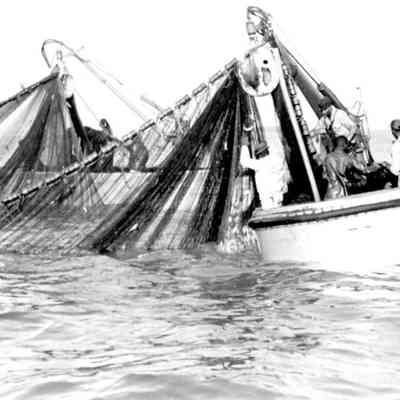 Purse Boats