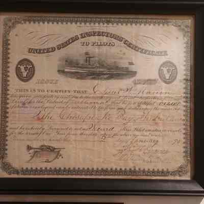 License, Occupational