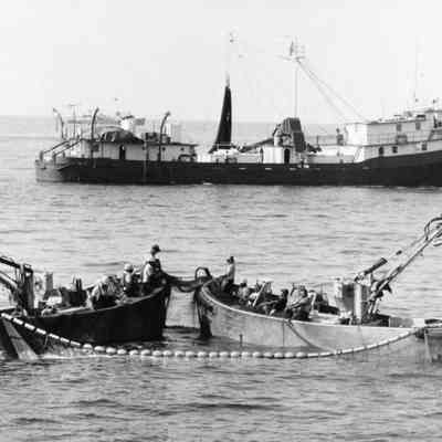 Purse boats
