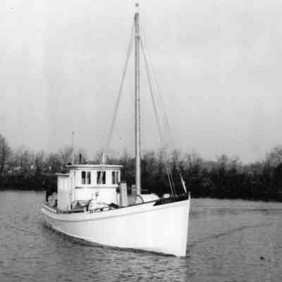 The Verna