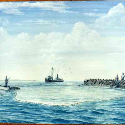 Menhaden fishing vessel