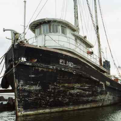 Photograph