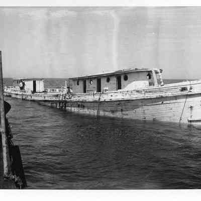 Photograph