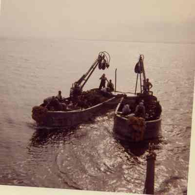 Photograph