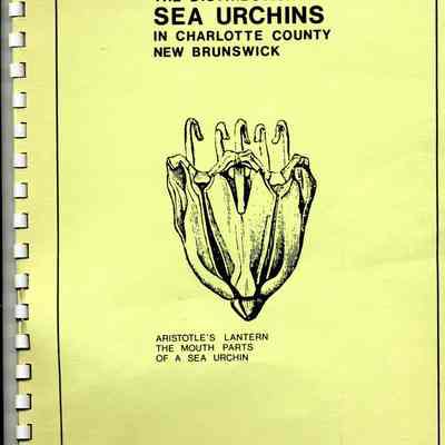 The Distibution of Sea Urchins in Charolette County, New Brunswick