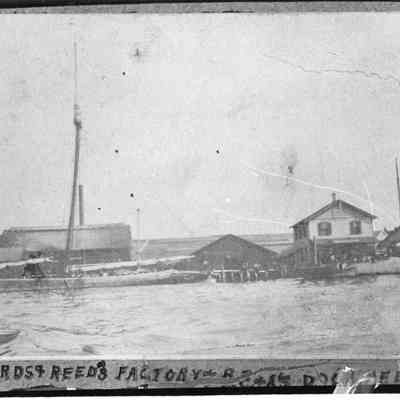 Menhaden factory