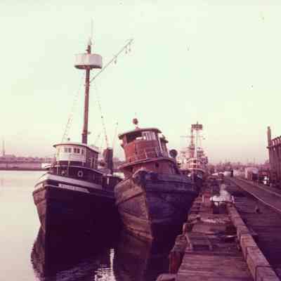 Photograph