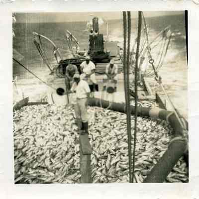 Menhaden vessel