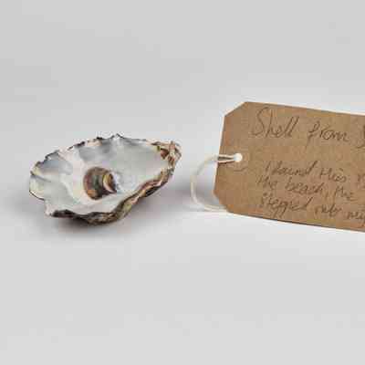 A seashell with a brown, handwritten luggage tag