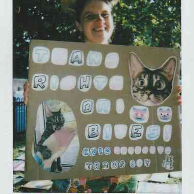 A person is holding a sign featuring cats and the message "Trans Rights or Bites" in colorful font.