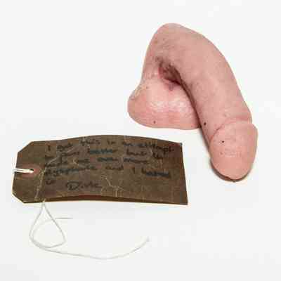 Prosthetic penis & testicles (packer); made of silicone, pink, moulded with lifelike detail of skin wrinkles, hair follicles etc. Flat surface across base with moulded concave indent in centre.