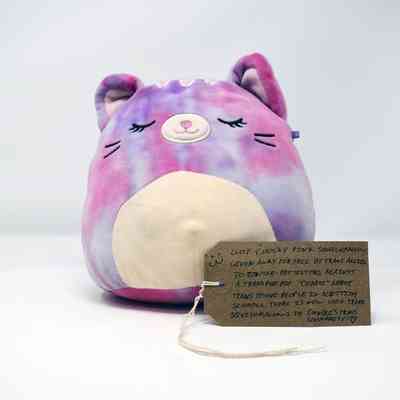 A pink and purple plushie toy which looks like a very round cat.