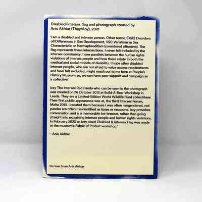 An A4 text panel for the disabled and intersex flag. It has a blue border and is full of typed text.
