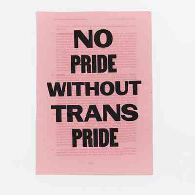 The image shows a pink poster which says "No Pride Without Trans Pride," in black text.