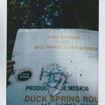 A person holds a cardboard box labeled "Duck Spring Rolls," with additional text.