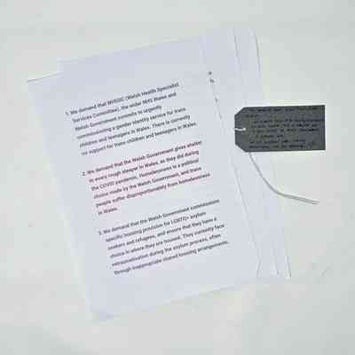 Three sheets of white A4 paper printed in red text with a list of demands to the Welsh Government and Heath Specialist Service Committee. With a brown handwritten luggage tag.