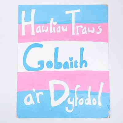 A placard which is painted in the trans flag colours of white, pink and blue and says 'Hawliau Traws Hobaith a'r Dyfodol'.