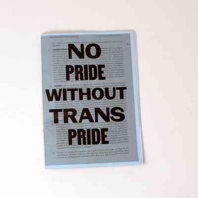 A zine cover with bold text reads, "NO PRIDE WITHOUT TRANS PRIDE".
