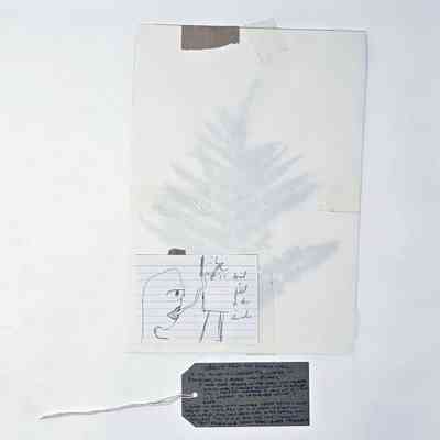 A collage which includes a fern leaf and an illustration on lined paper.
