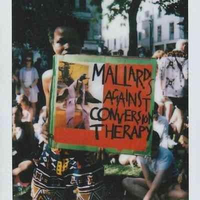 A person holds a colorful sign reading "Mallards Against Conversion Therapy" at an outdoor event.