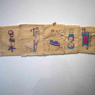 A series of 7 drawings, on 7 rectangular pieces of calico stitched together in a line,  depicting various medical aspects of transition. Drawings are black line drawings partially coloured in with the trans pride colours.
