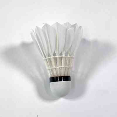 A white badminton shuttlecock.