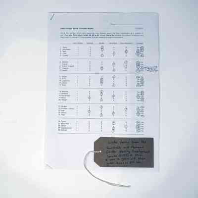 Tavistock & Portman GIDS Intake form titled "Body Image Scale (Female - Male)" and brown, handwritten luggage tag.