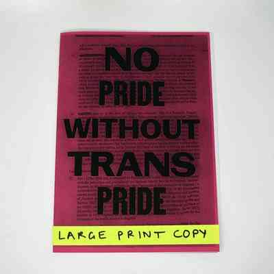 The image shows a bright pink document with bold text stating, "No Pride Without Trans Pride".